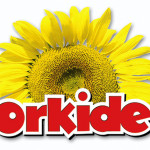 orkide